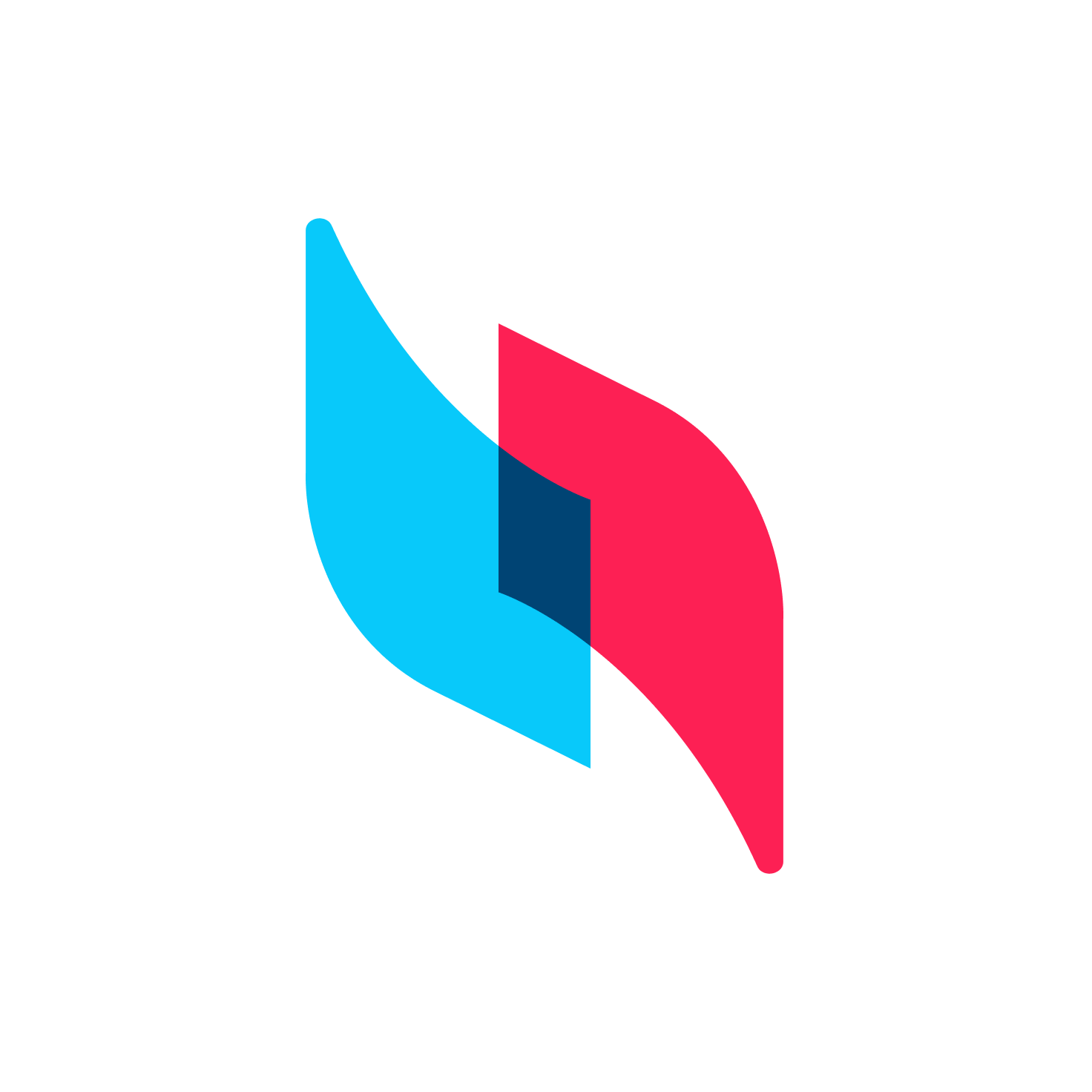 Web Builder Icon